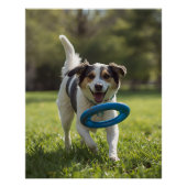 DOG POSTER ポスター (正面)