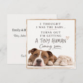 Dog Pregnancy Announcement Card 招待状 (正面/裏面)