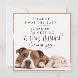 Dog Pregnancy Announcement Card 招待状