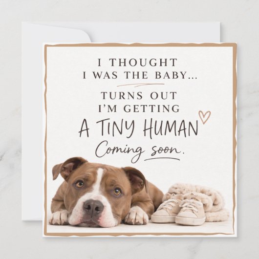 Dog Pregnancy Announcement Card 招待状 (正面)