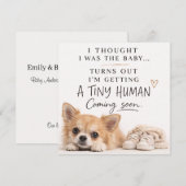 Dog Pregnancy Announcement Card 招待状 (正面/裏面)