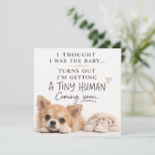 Dog Pregnancy Announcement Card 招待状 (スタンド正面)