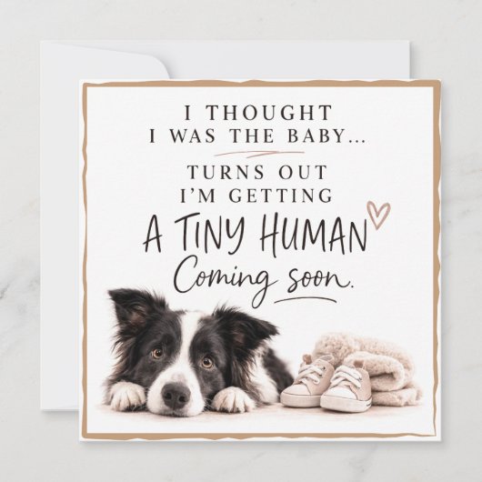 Dog Pregnancy Announcement Card 招待状 (正面)