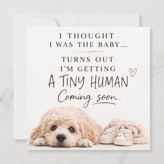 Dog Pregnancy Announcement Card 招待状 (正面)