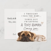 Dog Pregnancy Announcement Card 招待状 (正面/裏面)
