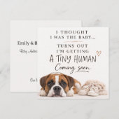 Dog Pregnancy Announcement Card 招待状 (正面/裏面)