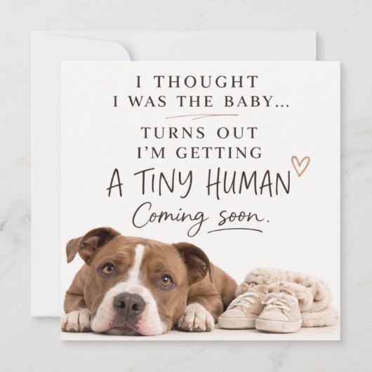 Dog Pregnancy Announcement Card 招待状 (正面)