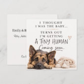 Dog Pregnancy Announcement Card 招待状 (正面/裏面)