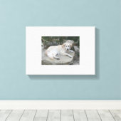 Dog Resting On A Rock キャンバスプリント (インサイチュ (ウッドフロア))