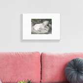 Dog Resting On A Rock キャンバスプリント (インサイチュ (リビング))