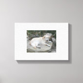 Dog Resting On A Rock キャンバスプリント (正面)