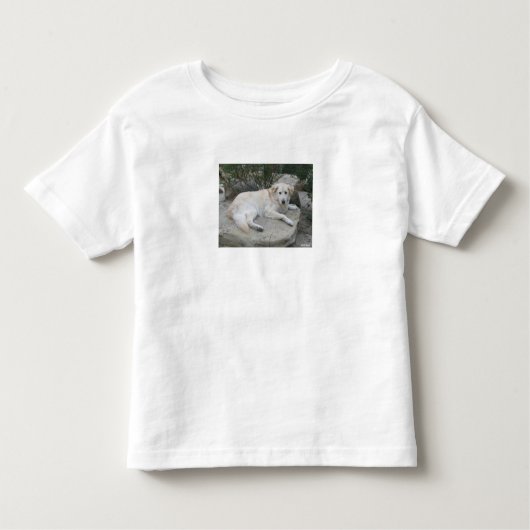 Dog Resting On A Rock トドラーTシャツ (正面)