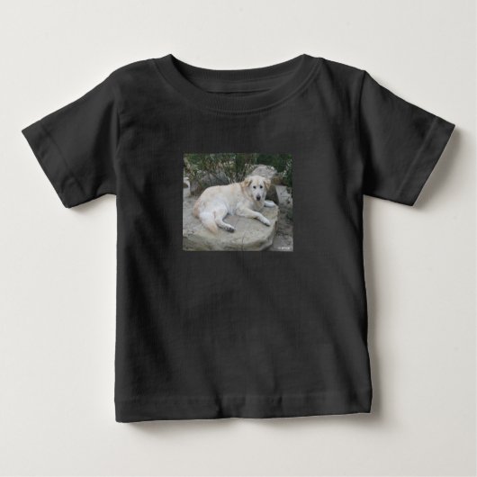 Dog Resting On A Rock ベビーTシャツ (正面)