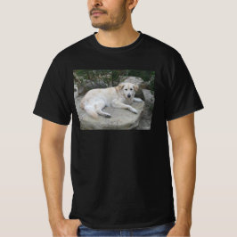 Dog Resting On A Rock Tシャツ