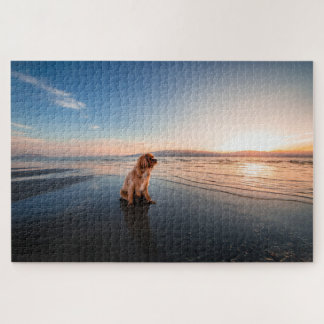 Dog sitting on the beach ジグソーパズル