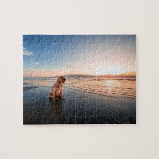 Dog sitting on the beach ジグソーパズル