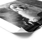 DOG STYLE フォトプリント            (角)