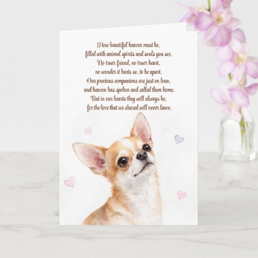 Dog Sympathy Loss Chihuahua Spriitual カード (蘭)