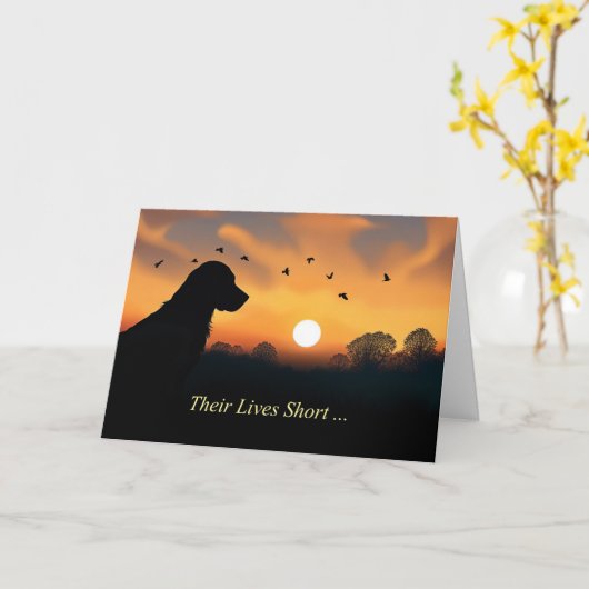 Dog Sympathy Loss of Dog Silhouetted in Sunset  カード (黄色い花)
