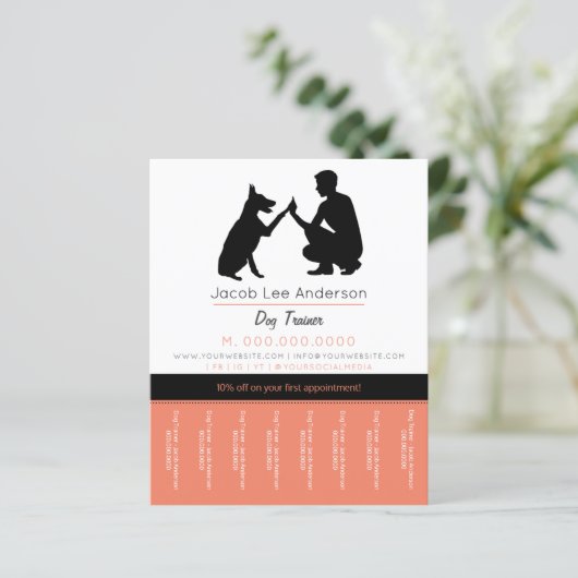 Dog trainer (スタンド正面)