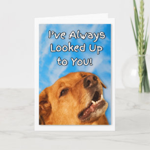 Dog Trainer Thank You Golden Retriever サンキューカード
