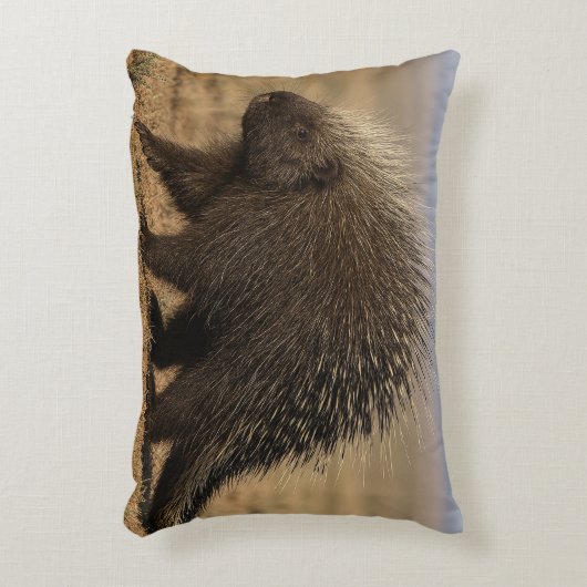 Dog vs. Porcupine Accent Pillow アクセントクッション (正面(垂直))
