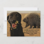 Dog vs. Porcupine Card ノートカード (正面)