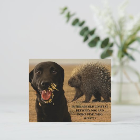 Dog vs. Porcupine Card ノートカード (スタンド正面)