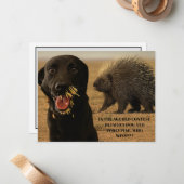 Dog vs. Porcupine Card ノートカード (正面/裏面インサイチュ)