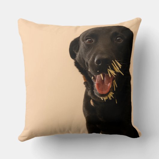 Dog vs. Porcupine Pillow クッション (裏面)