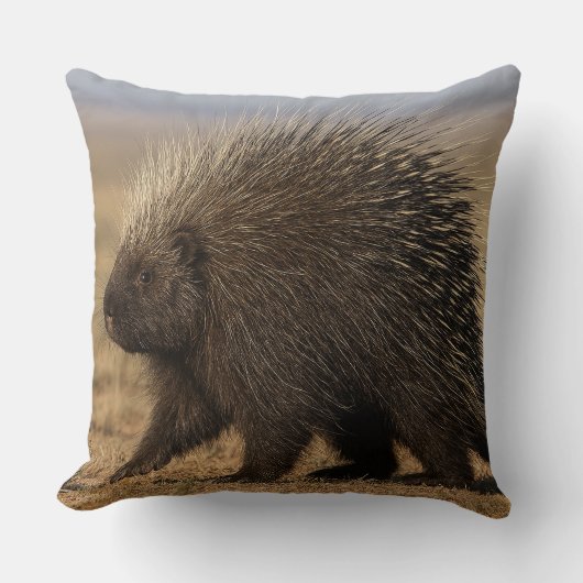 Dog vs. Porcupine Pillow クッション (正面)