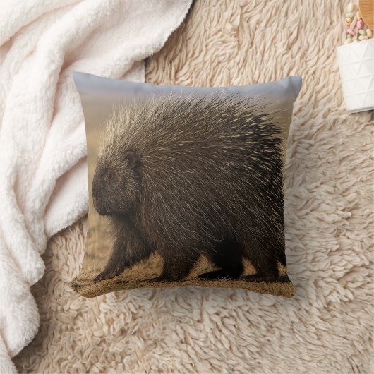 Dog vs. Porcupine throw pillow クッション (ブランケット)