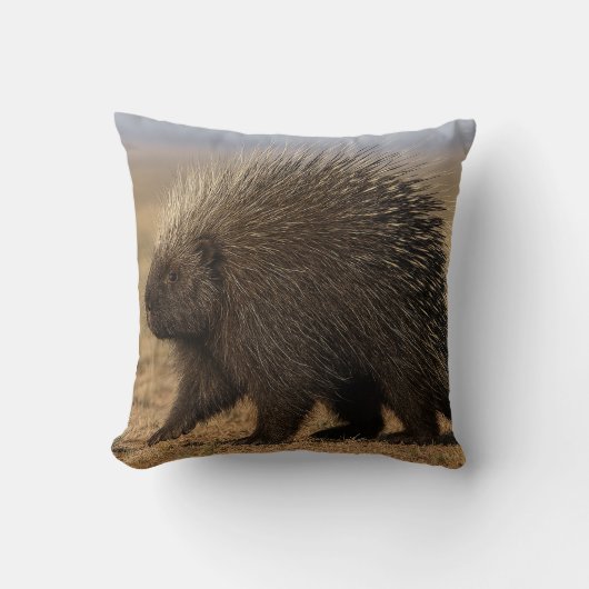Dog vs. Porcupine throw pillow クッション (正面)