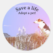 Dog Waiting for his Family ラウンドシール (正面)