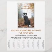 Dog Walker Adventure Walks And Hikes チラシ (正面)