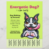 Dog Walker Walking Boston Tear Sheet チラシ (正面)