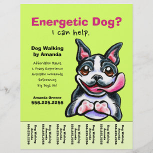 Dog Walker Walking Boston Tear Sheet チラシ