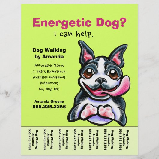 Dog Walker Walking Boston Tear Sheet チラシ (正面)