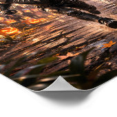 "Doganda Forever!" ポスター (角)