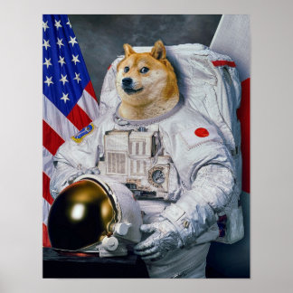 Dogeプリントバージョン ポスター