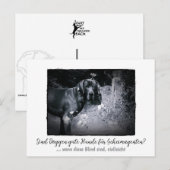 Dogge: der Hund für Geheimagenten ポストカード (正面/裏面)