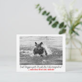 Dogge: der Hund für Geheimagenten  ポストカード (スタンド正面)