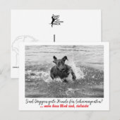 Dogge: der Hund für Geheimagenten  ポストカード (正面/裏面)