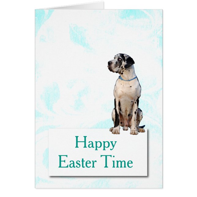 Doggenマップ (正面)