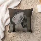 Doggenwelpe Kissen クッション (ブランケット)