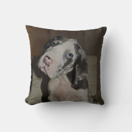 Doggenwelpe Kissen クッション