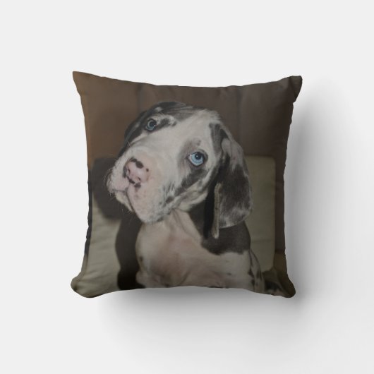 Doggenwelpe Kissen クッション (正面)