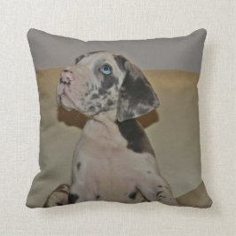 Doggenwelpe Kissen クッション