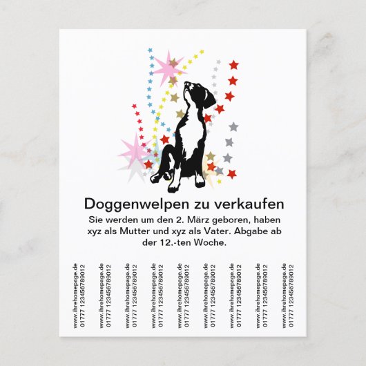 Doggenwelpen zu verkaufen? チラシ (正面)