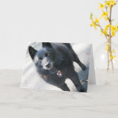 Doggieグリーティングカード カード (黄色い花)